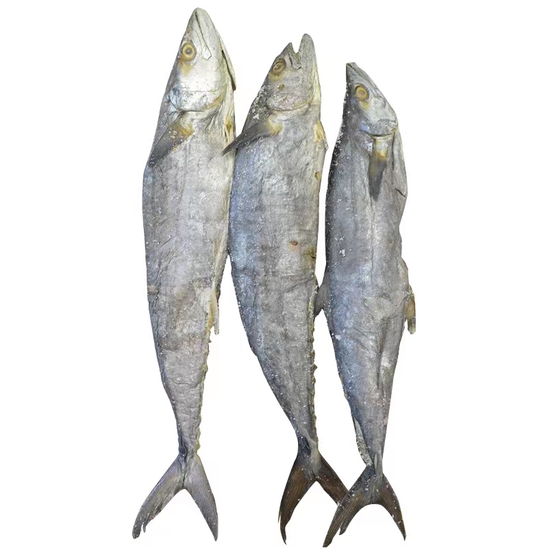 广东梅香马鲛咸鱼腌制霉香马交咸鱼茄瓜煲250克/500g肉质软臭咸粉