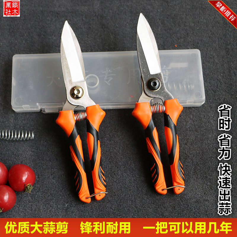 大蒜剪刀剪大蒜的剪刀专用剪蒜头神器蒜杆机洋葱新款剪蒜头剪蒜剪