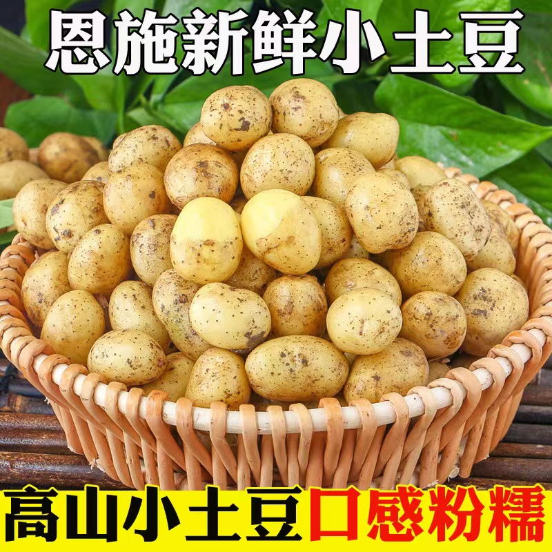 【主播专属】恩施小土豆现挖新鲜黄心土豆3/5/9斤迷你马铃薯洋芋