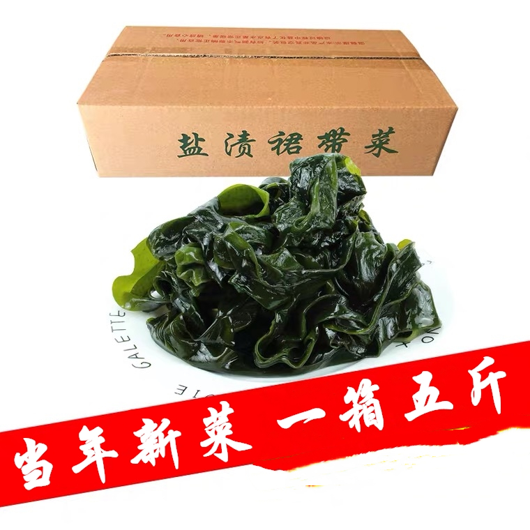 【一箱五斤】盐渍海菜叶/海带芽/海白菜/海藻菜/火锅配菜