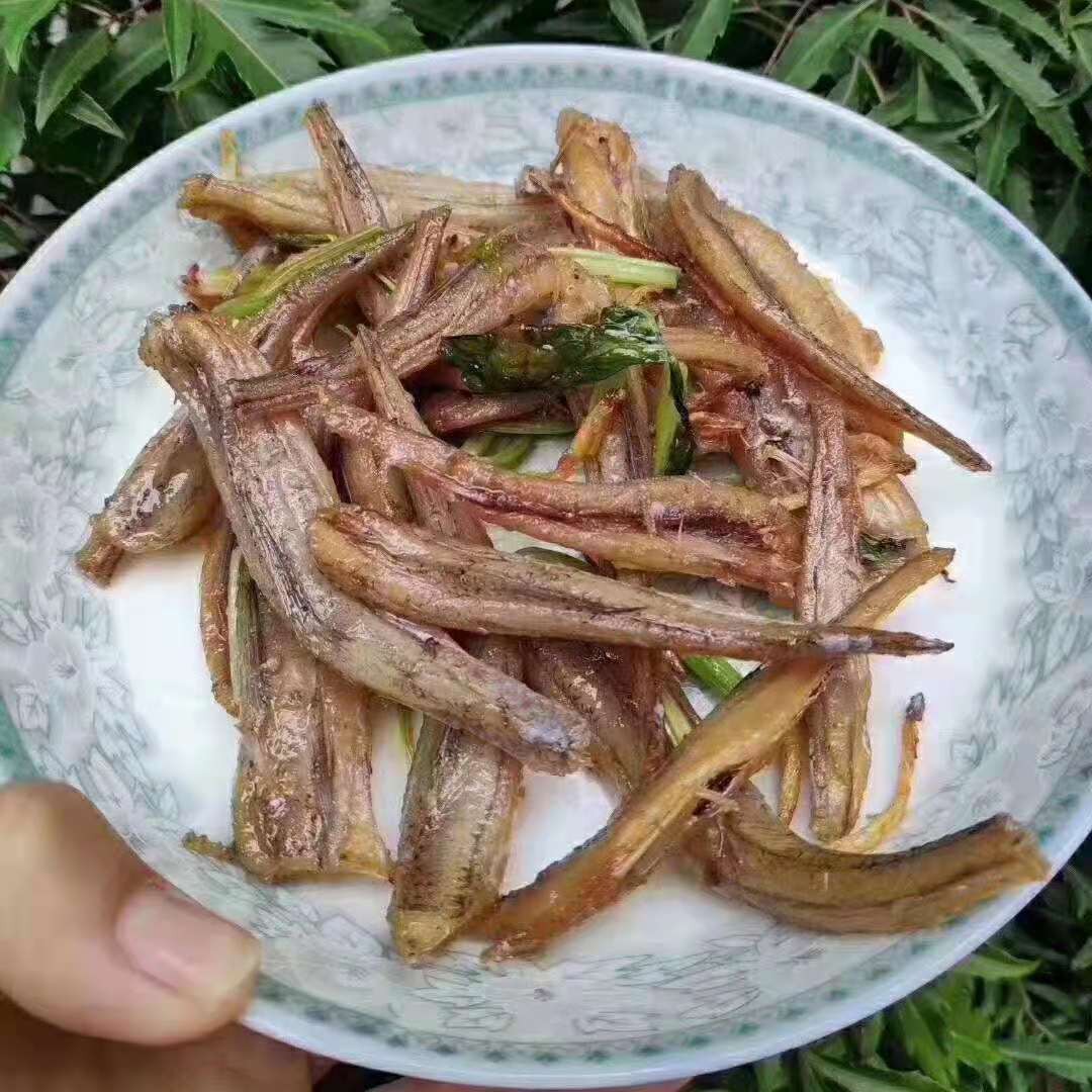 汕尾本港小哥丁鱼干  中乌丁脯 微咸好吃
