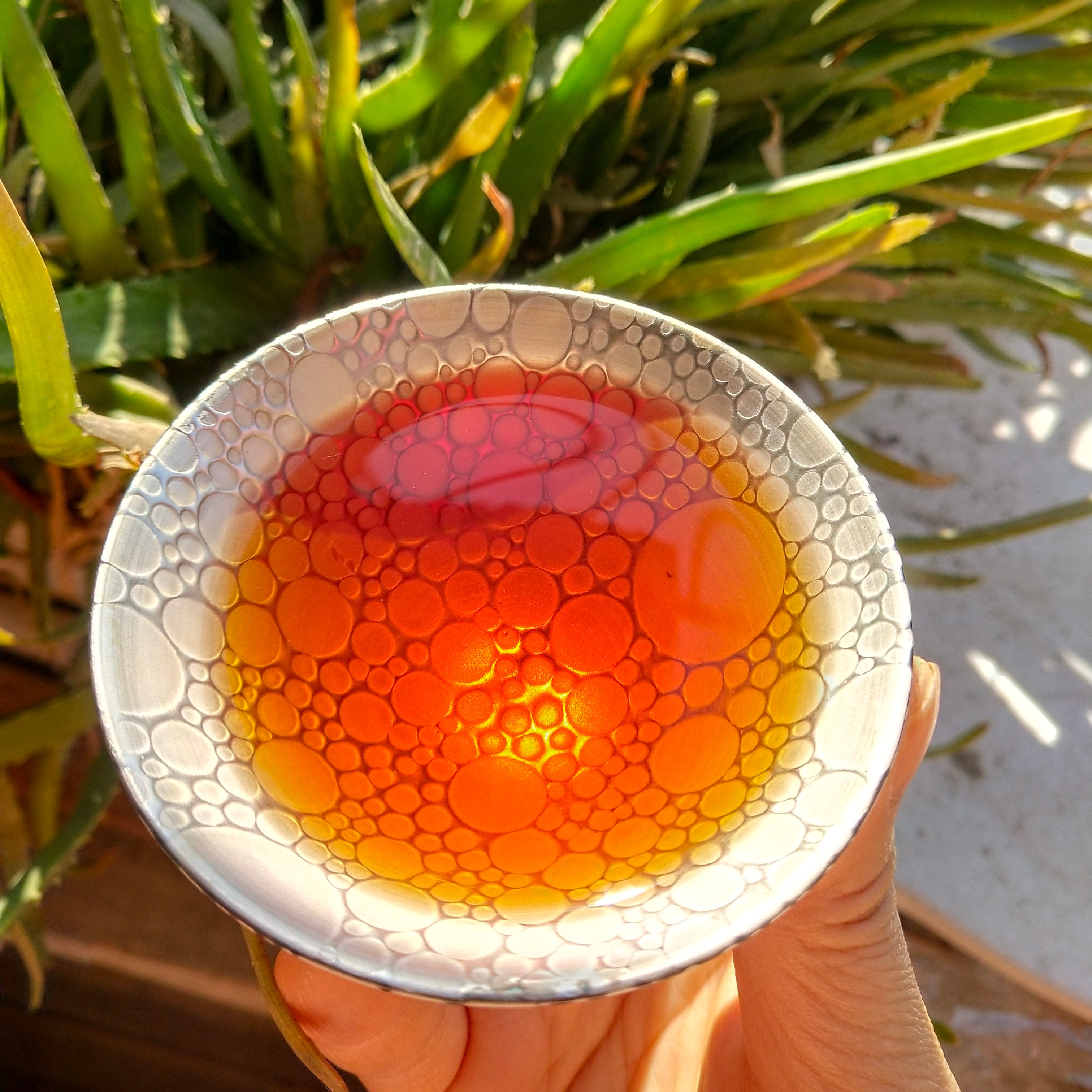 24#特级白露【金九】2025年秋茶 英红九号老树龄英德红茶带茶样