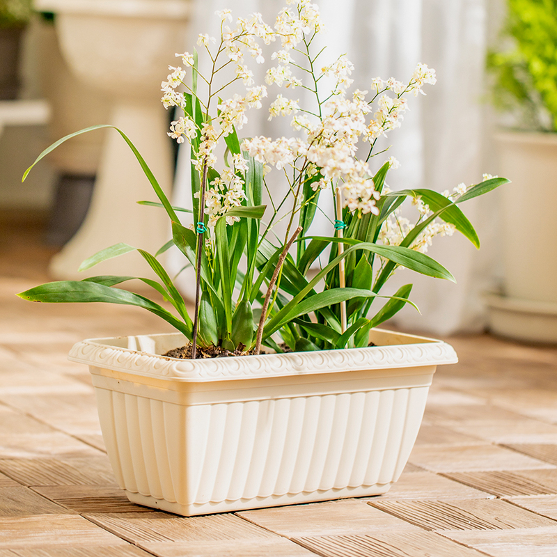 爱丽思种菜盆简约长方形耐用花盆塑料长条花盆蔬菜盆环保大号花盆