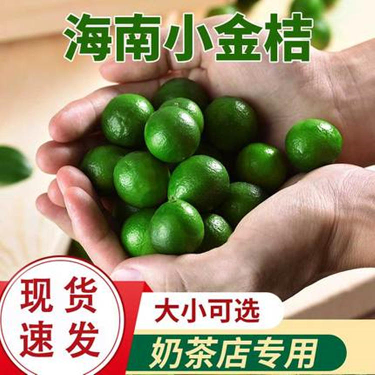 新鲜皮薄多汁小青柠海南小金桔青金桔柠檬奶茶水果2斤批发