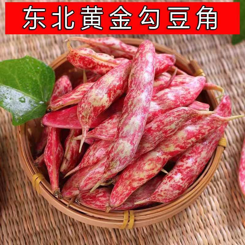 【油豆角】东北黄金勾豆角新鲜红花油豆红金钩面豆2斤5斤顺丰