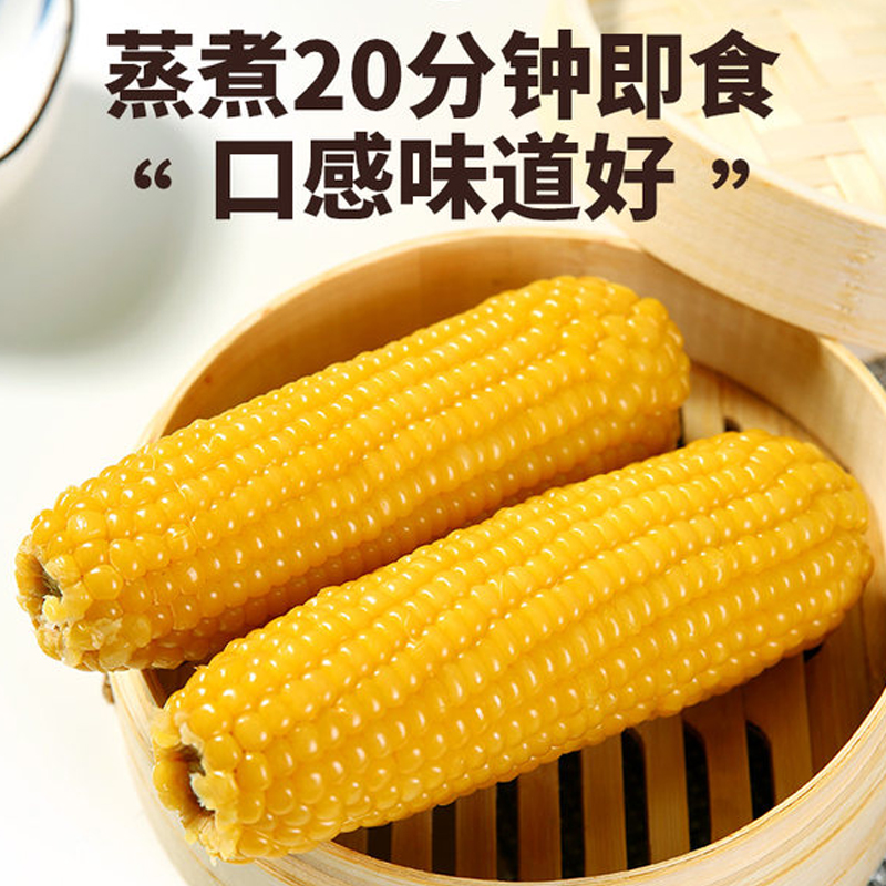 【新人专享】东北黄糯玉米真空包装软糯黏玉米10支6斤试吃2根