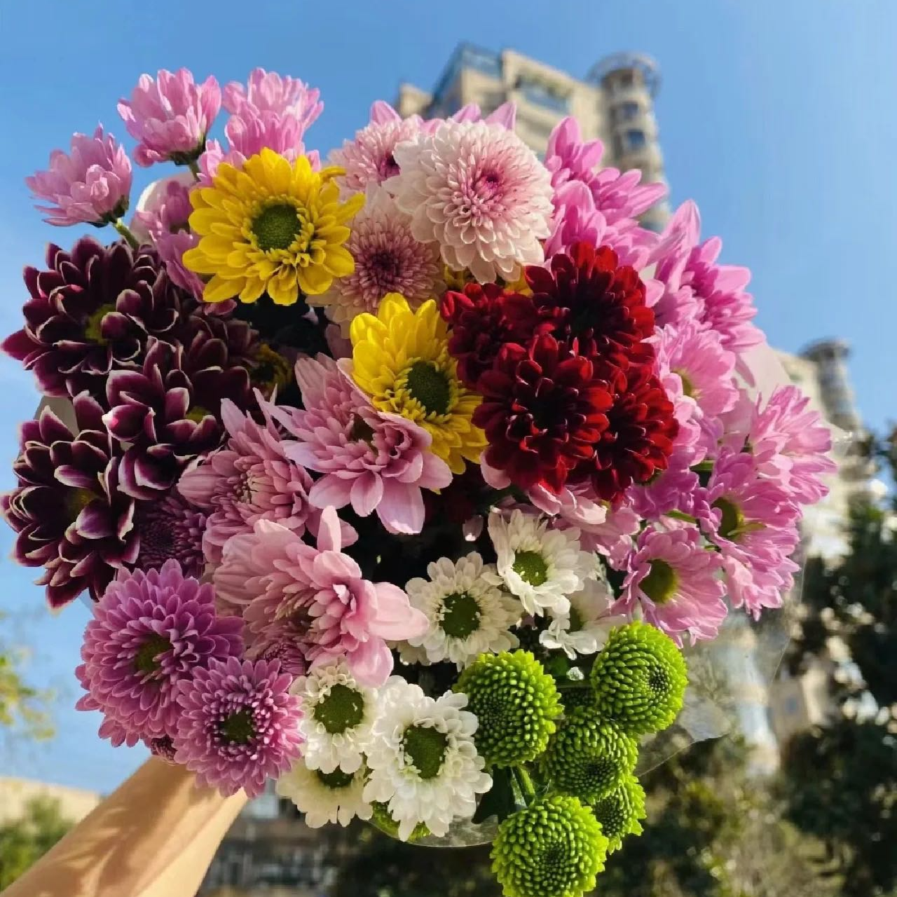 【全疆京东包邮】混色小雏菊10支