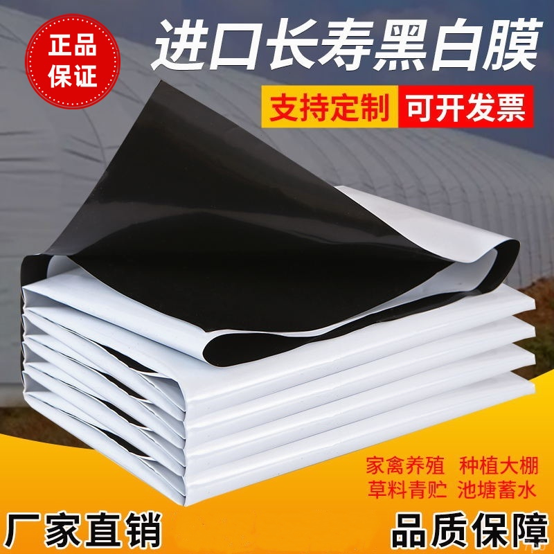 黑白膜养殖大棚膜塑料布塑料膜塑料薄膜加厚防晒防水厂家直销批发