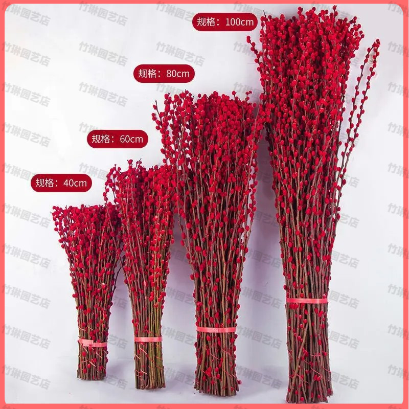 红色银柳招财银柳真花鲜枝春节年宵花卉水培植物干花客厅室内装饰