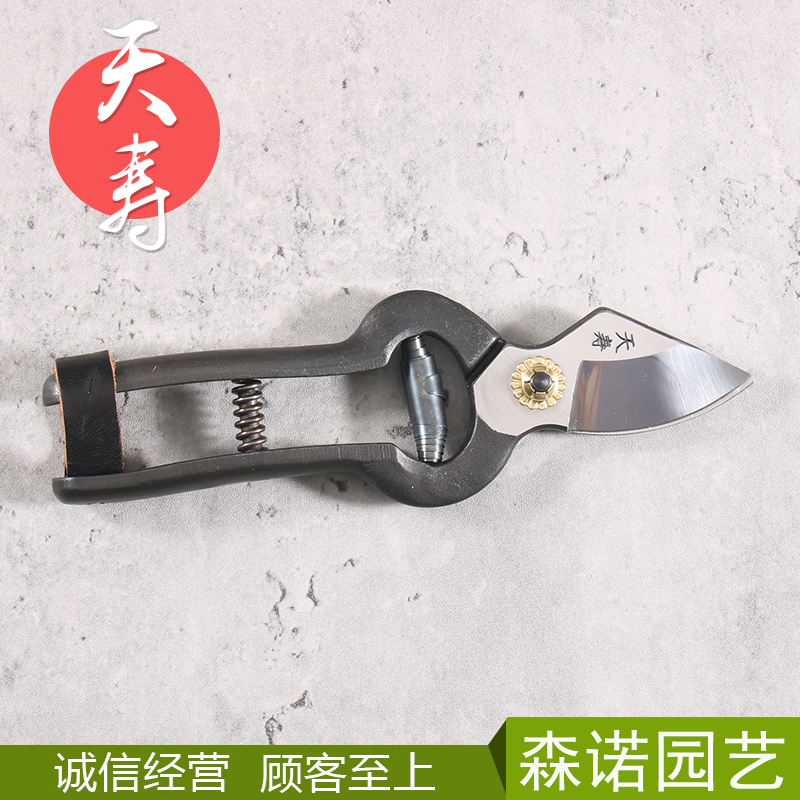 日本原装进口天寿修枝剪安来钢锻造剪整枝园艺剪盆景红狐狸折叠锯