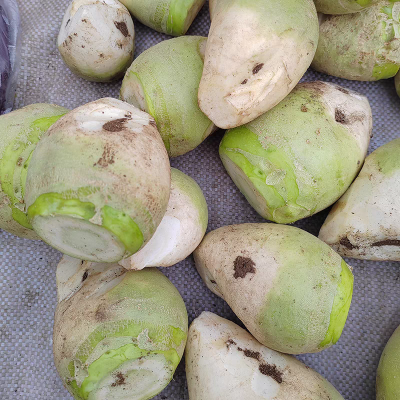 25年新鲜芥菜头辣菜疙瘩腌制大头菜新鲜现挖农家自种腌菜头下饭菜