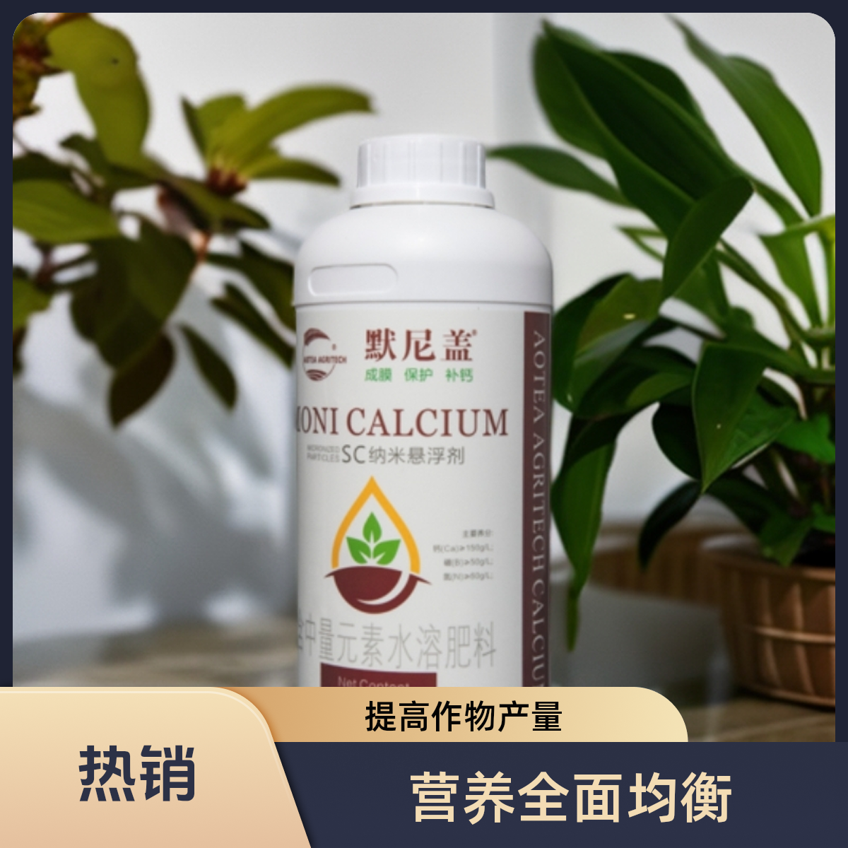 墨尼盖-钙硼同补纳米悬浮剂