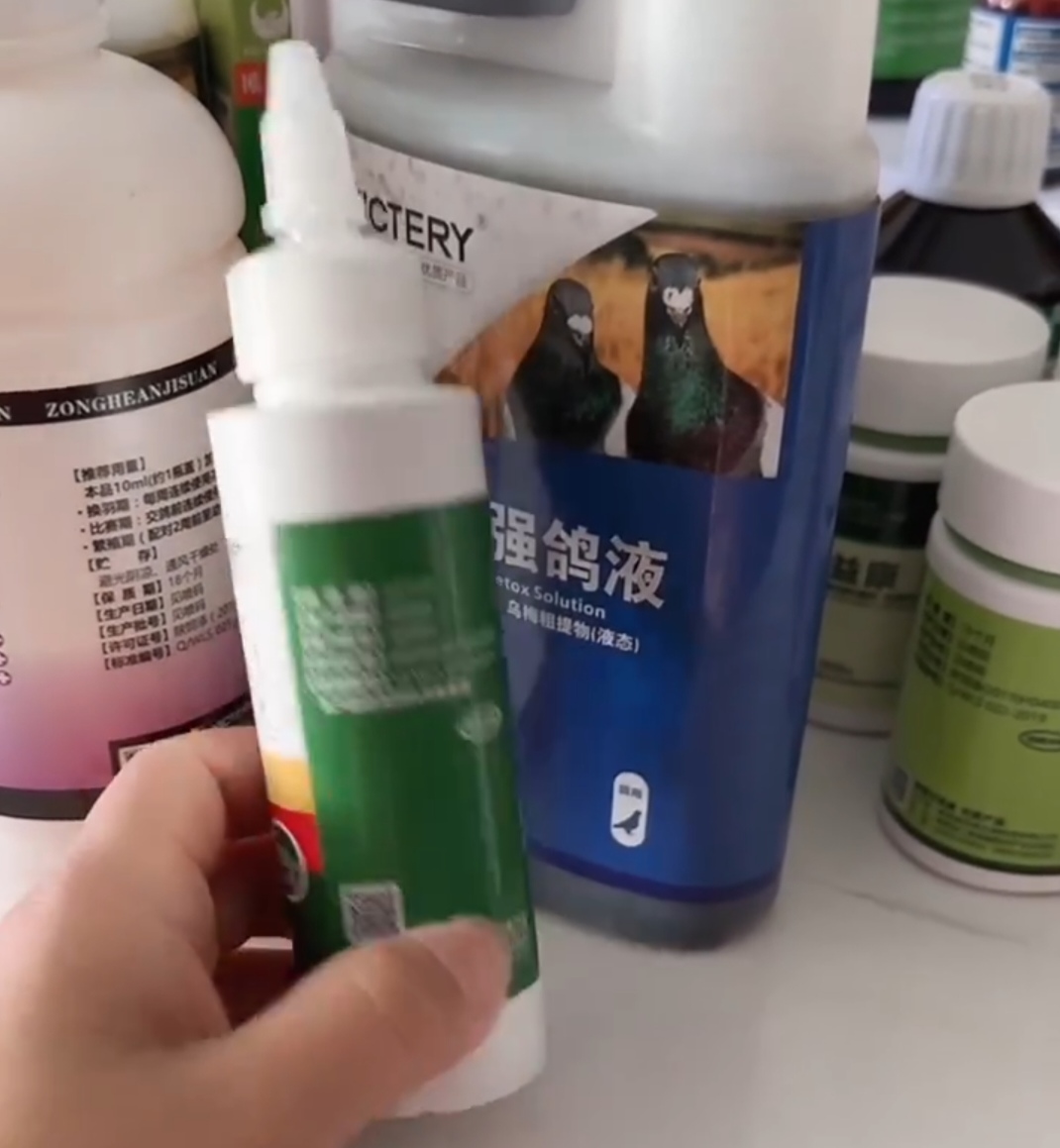 汉诺威信鸽100毫升
