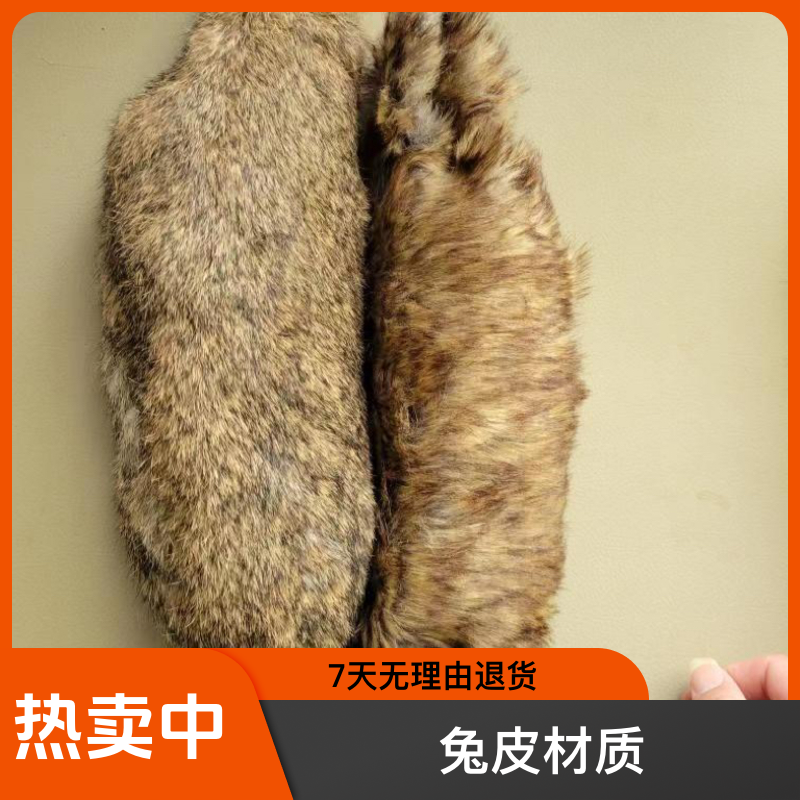 训犬开口神器只限运动猎犬选择增加狗兴奋度 解决狗不追 不下嘴