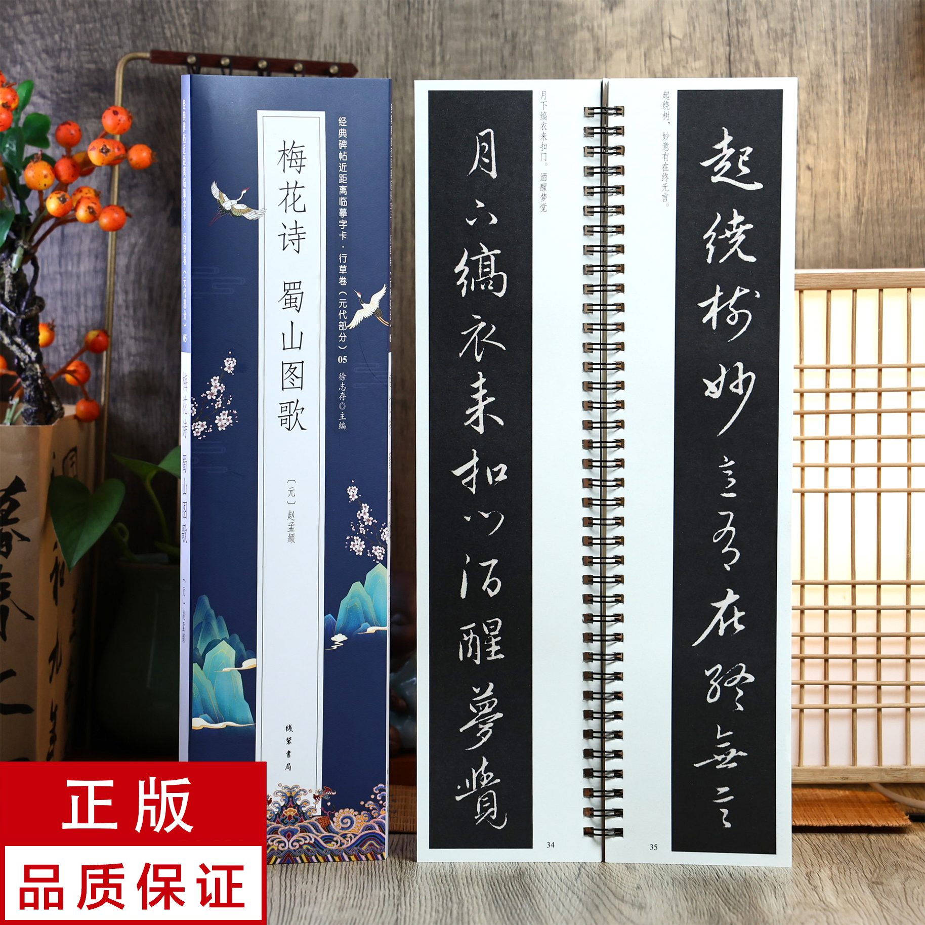 赵孟頫行书 梅花诗 蜀山图歌 静文轩近距离临摹字帖