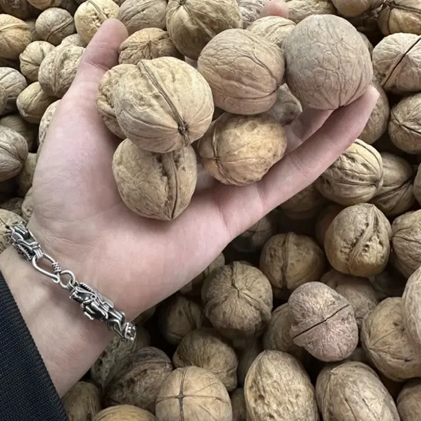 新疆阿克苏185纸皮核桃原味手拨捏开原色原生态自然晒干坏果包赔