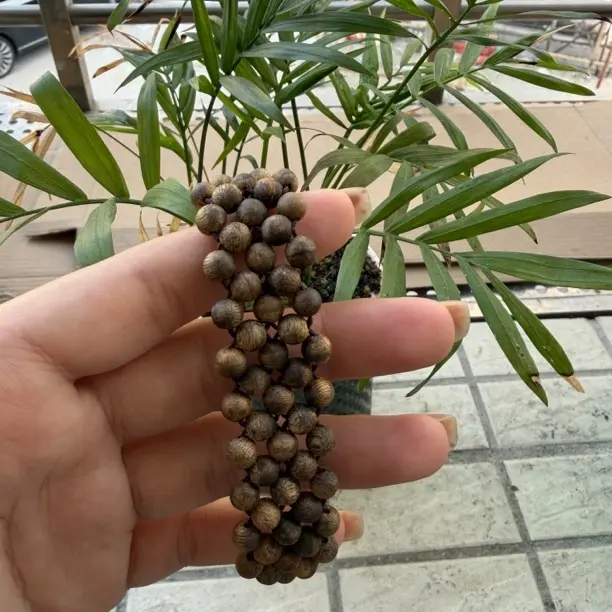 沉香手工定制款奇楠圆珠四排珠手串香韵多样性发一