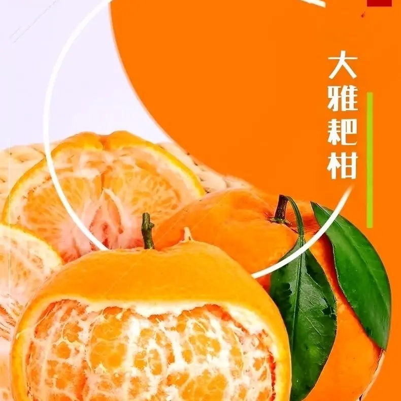 四川大雅耙耙柑新鲜柑橘产地直发爆汁多汁爽口细腻脆甜自然熟