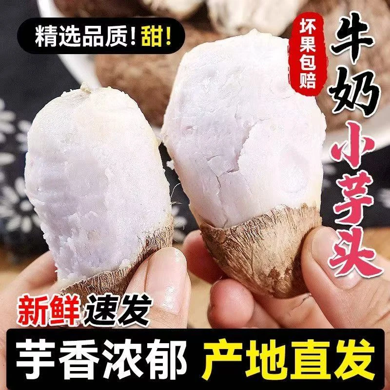 【高山牛奶小芋头】贵州新鲜牛奶小芋头整箱农家自种毛芋头牛奶芋头