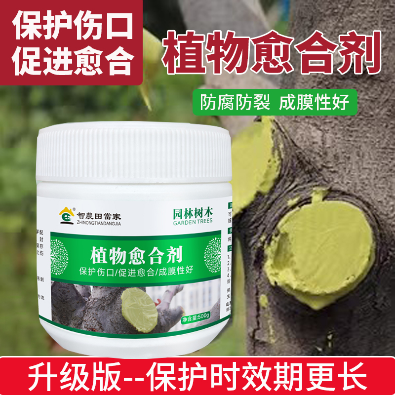 植物伤口愈合剂果树伤口树皮封口修复涂膜树枝嫁接树干植物肥料