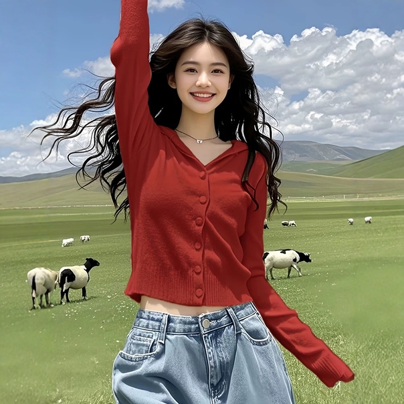 秋冬时髦洋气女装网红红色连帽开衫毛衣打底针织衫内搭短款上衣服