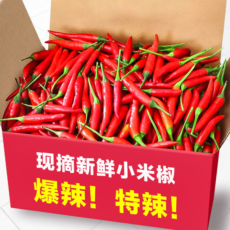 现摘小米辣椒批发新鲜小米椒朝天红特辣彩辣椒指天椒湘菜火锅食材