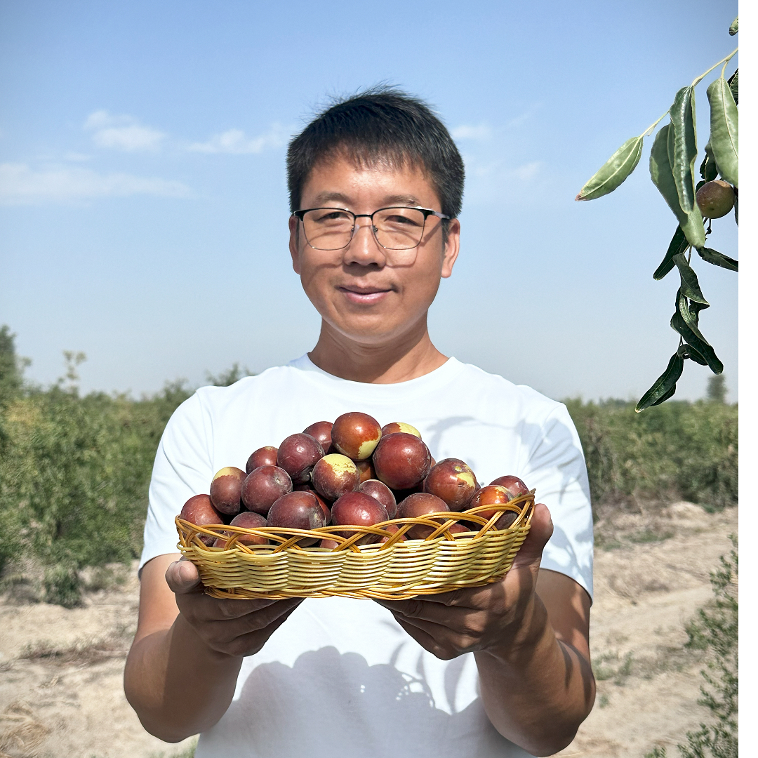【新疆直发】新疆沙漠冬应季水果鲜枣皮薄肉厚脆甜现摘现发顺丰空运