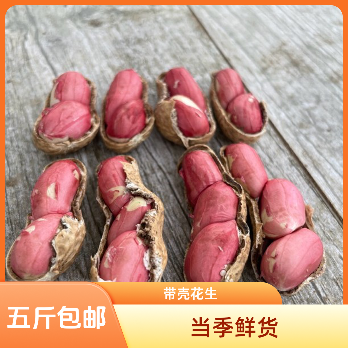 水果甜花生新鲜现挖带壳可水煮生吃口感甘甜农家自种湿花生