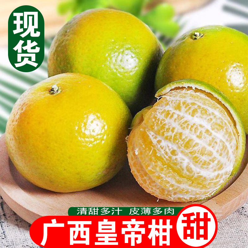 新鲜现摘正宗广西皇帝柑清甜可口桔子青皮贡柑小柑橘当季水果9斤