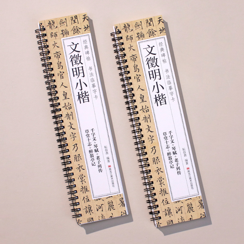 文徵明小楷千字文琴赋草堂十志醉翁亭记毛笔书法经典临摹清晰活页