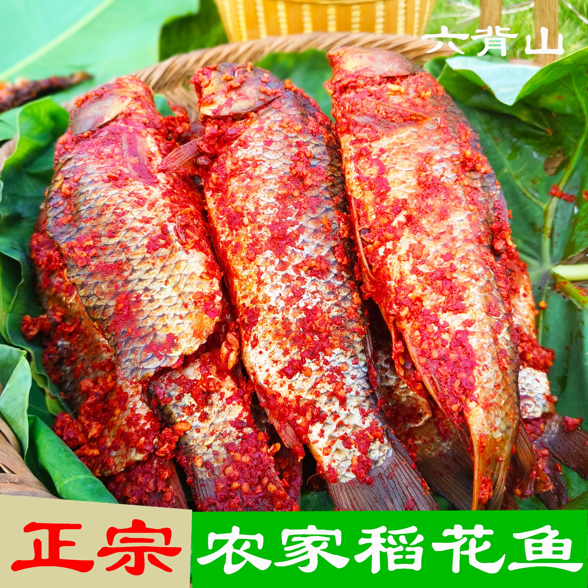 正宗田鱼黎平从江榕江特产下饭小吃农家酸鱼稻花鱼贵州腌鱼酸鱼暗