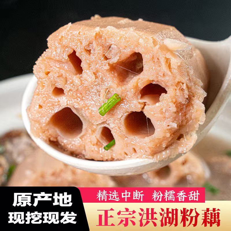 洪湖正宗煲汤粉藕莲藕现挖湖北特产莲藕煲汤粉藕带泥藕