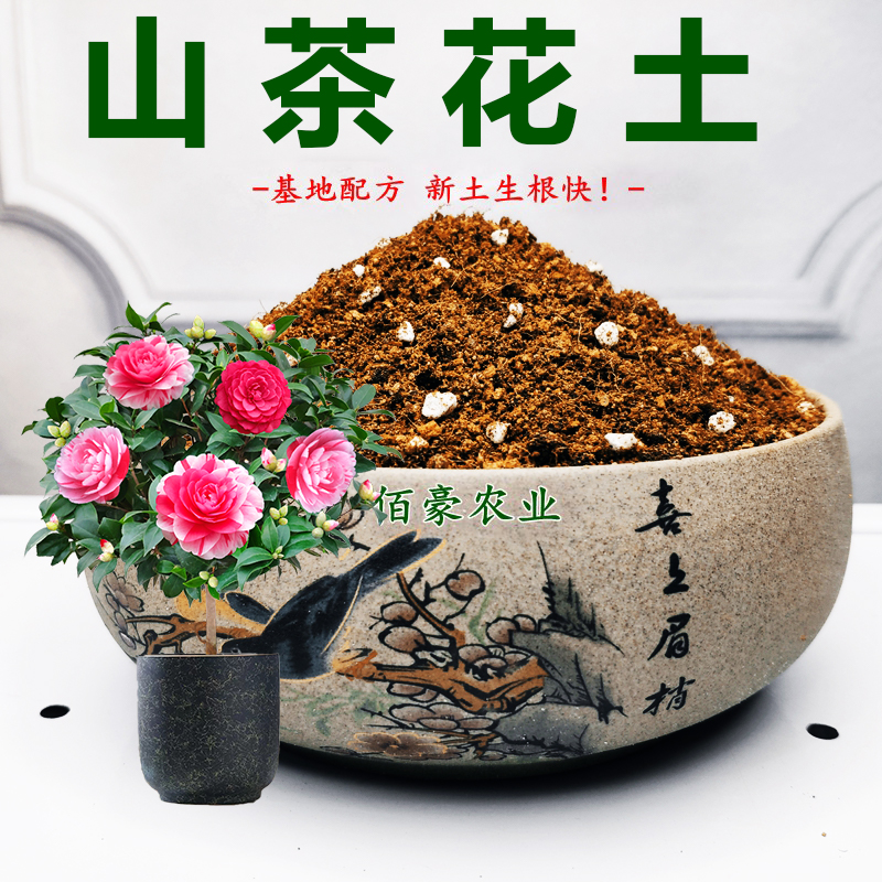 佰豪山茶花专用土通用型营养土茶花土进口配方茶花专用营养土专卖