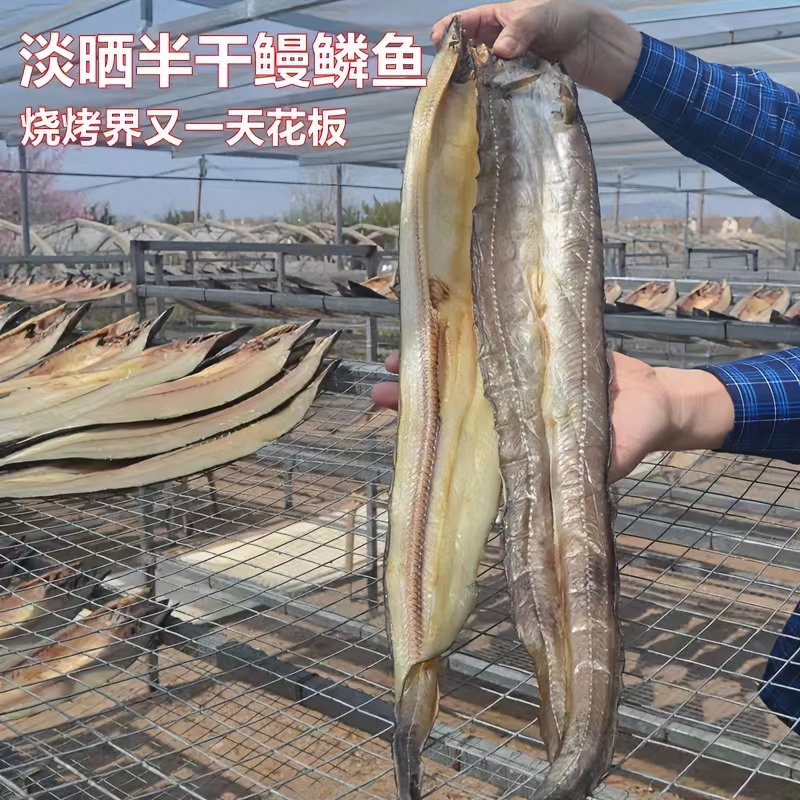 一卤鲜鳗鱼鱼干 自然风干晾晒淡盐不咸