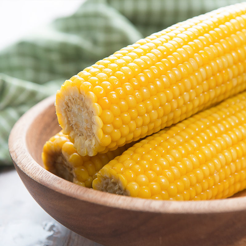 糯知秋25年东北黄糯玉米棒新鲜甜糯玉米低脂代餐240-300克*10根z