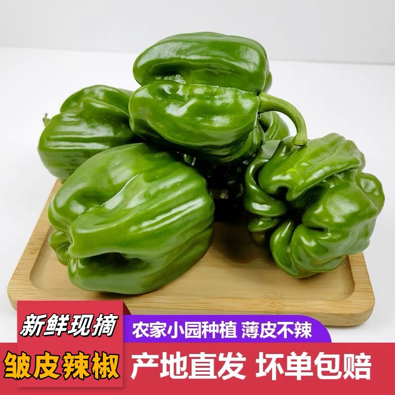 山东新鲜现摘小皱皮辣椒（3-5斤）薄皮
