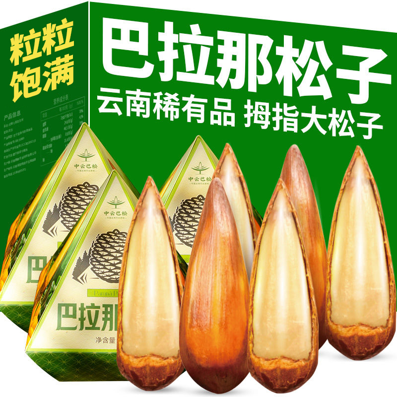 巴拉那松拇指大松子80g/盒蜂蜜味正宗云南稀有品种熟制干果坚果