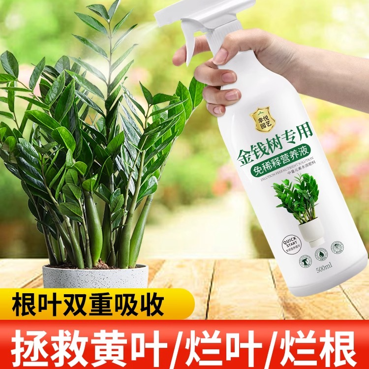 免稀释金钱树专用营养液叶子发黄叶面肥盆栽水溶金钱树肥料专用肥