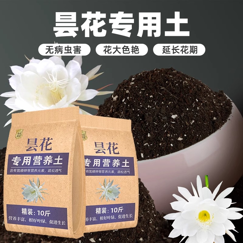 昙花专用土营养土昙花专用肥料专用花土壤橡皮树土养花种植土泥土