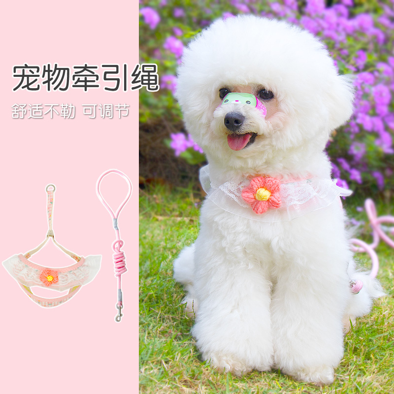 春夏狗狗牵引绳可爱胸耐磨中小型遛狗绳泰迪比熊狗链狗绳猫咪绳子
