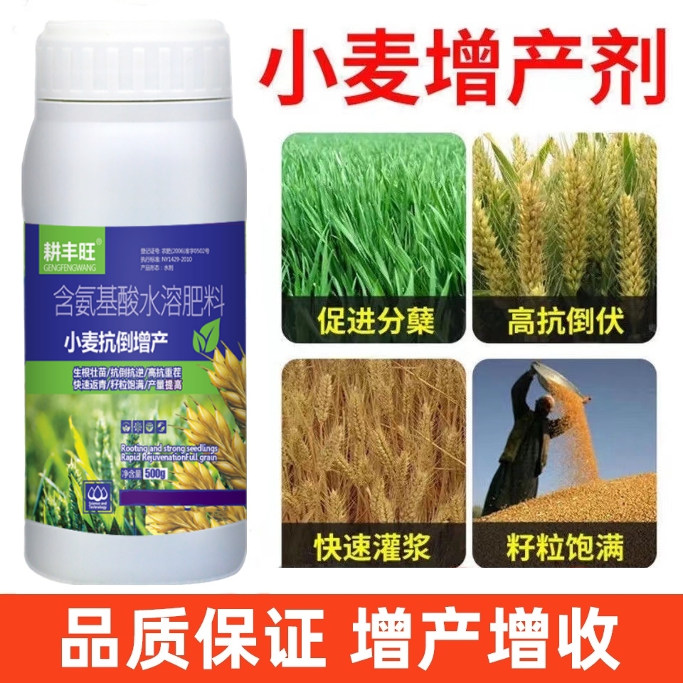 小麦专用叶面肥高产素促分蘖抗倒伏小麦灌浆肥小麦增产增收麦黄金