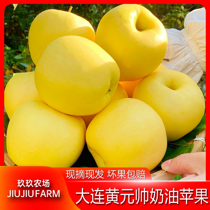 【玖玖农场】黄元帅奶油苹果装芳香味浓松脆爽口水果粉面4.5斤