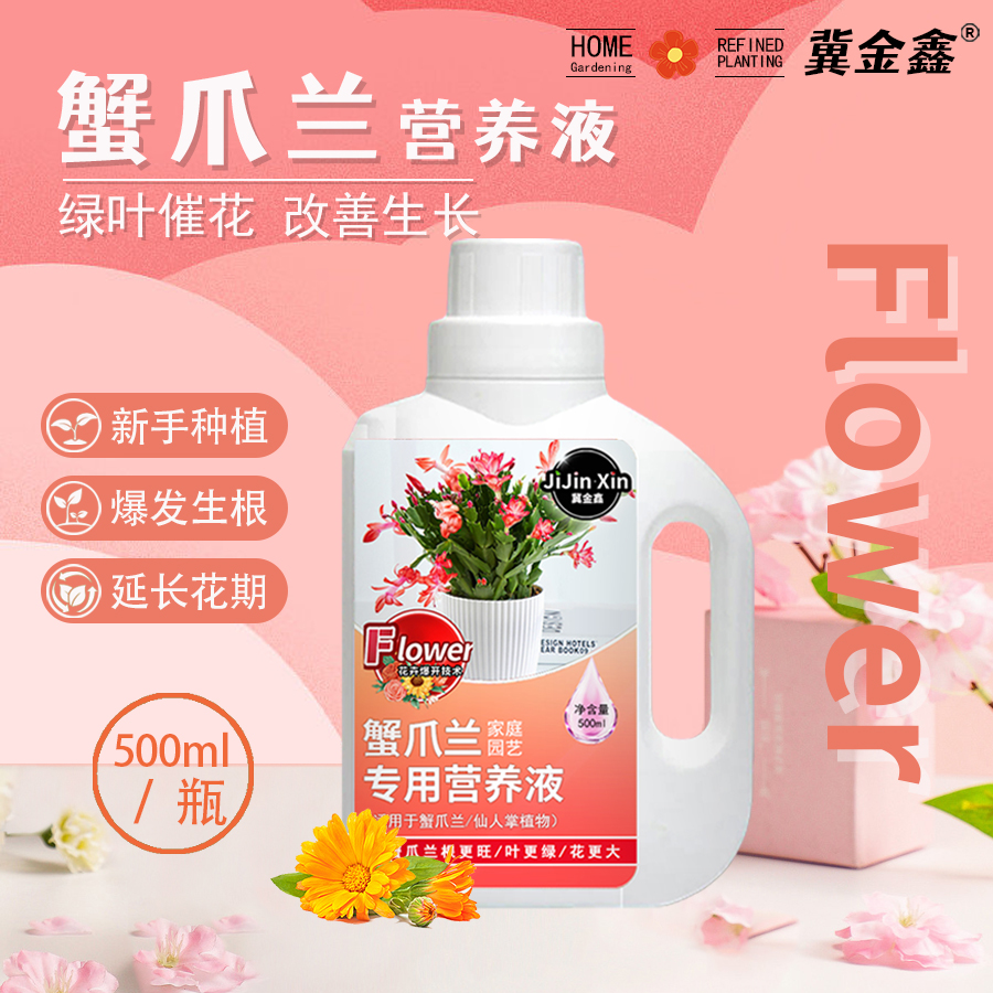 冀金鑫蟹爪兰营养液催花促花肥料专用肥叶子发蔫变软干瘪怎样补救