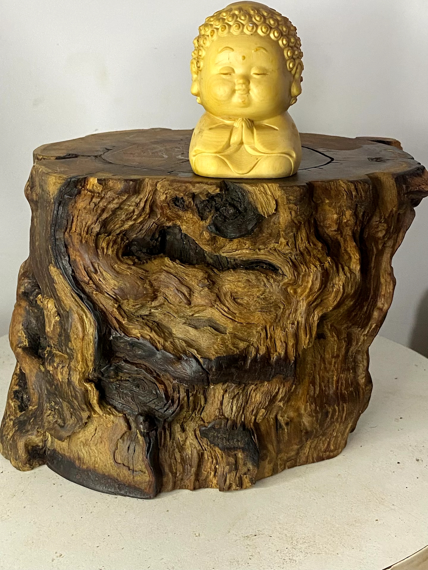 精品雷击枣木、枣木底座，一物一拍以直播间截图为准