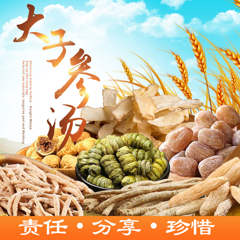 广东汤料太子参汤无花果蜜枣玉竹麦东原料168克/包滋补食用营养品