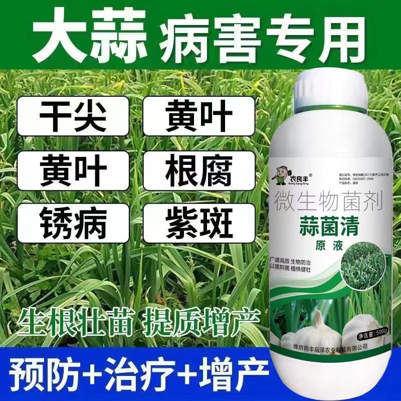 蒜菌清原液大蒜种植专用微生物菌肥生根养根粗壮补充营养水溶肥料