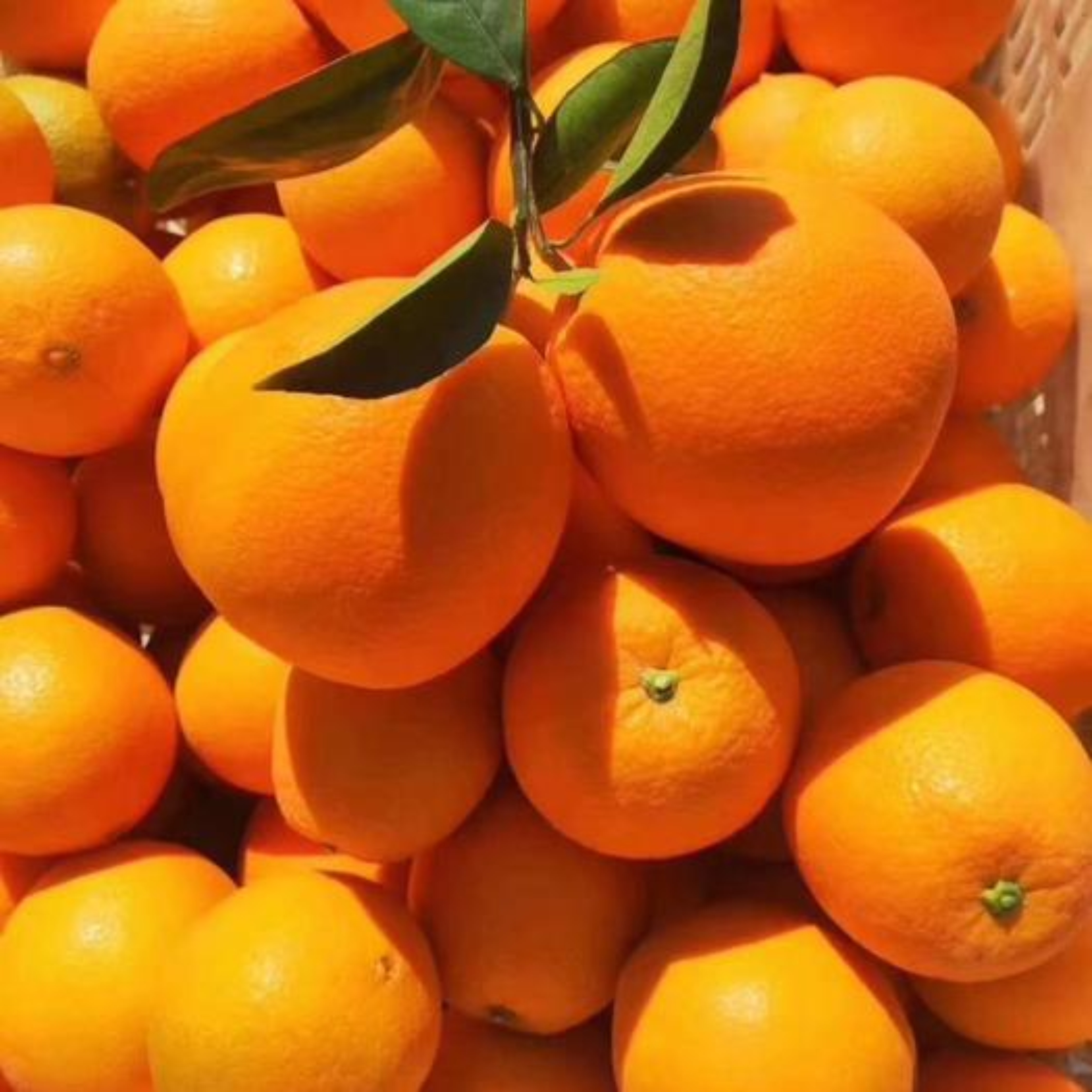 10斤/20斤玲珑果赣南脐橙小果现摘现发新鲜橙子