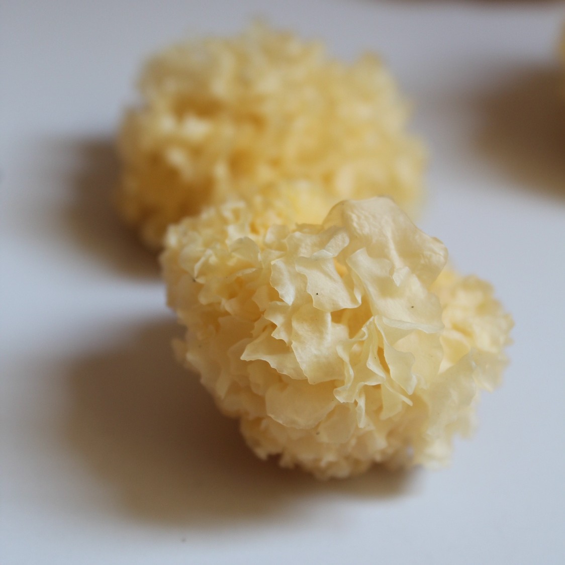 福建古田小朵银耳净重50克250克500克干货炖甜品软糯银耳白木耳