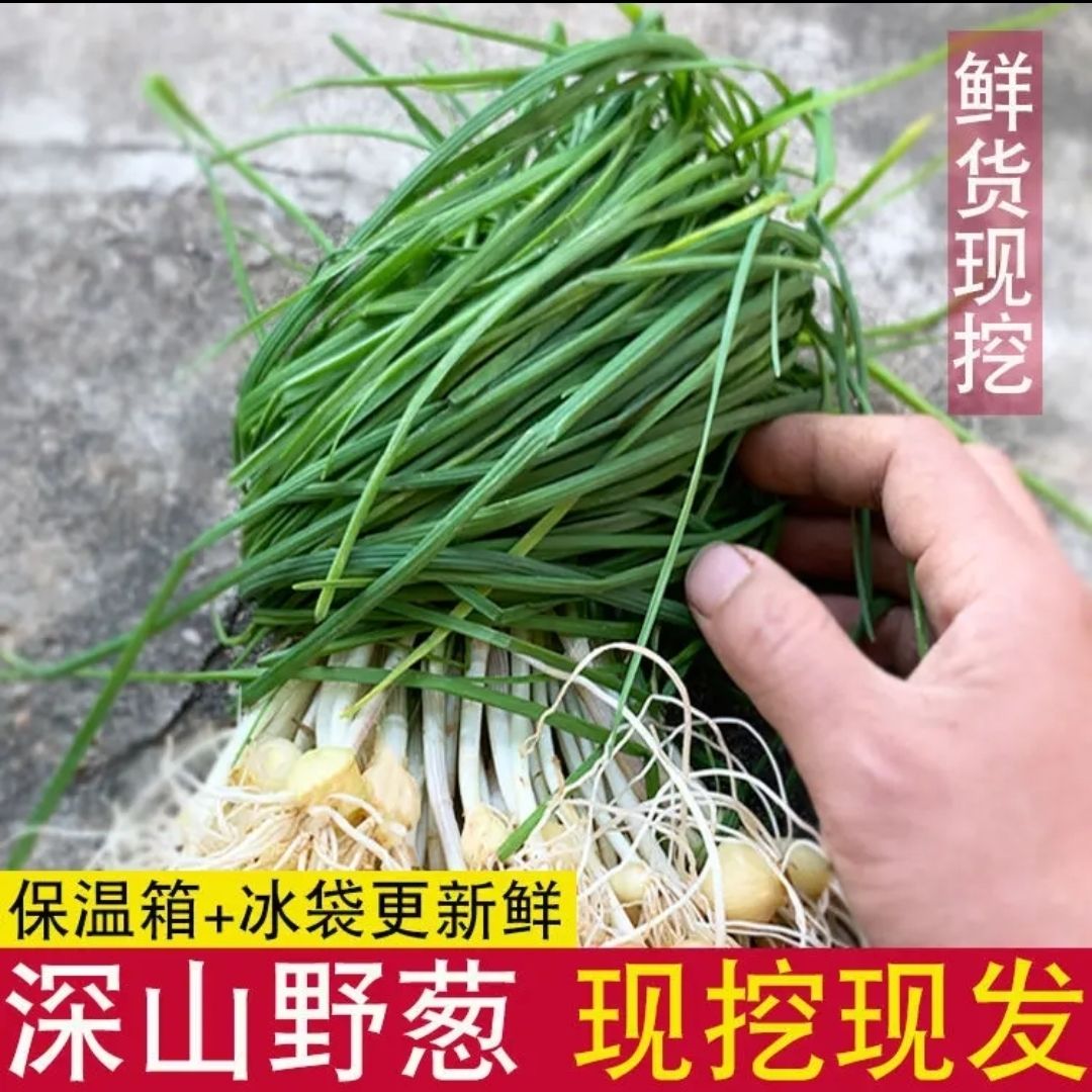 贵州葱新鲜菜深山现挖小根蒜胡葱葱百香葱菜苦2斤包邮绿色浓郁