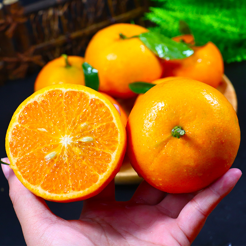 【头茬鲜果】武鸣沃柑5-10斤广西沃柑新鲜采摘发货水果橘子当季水果